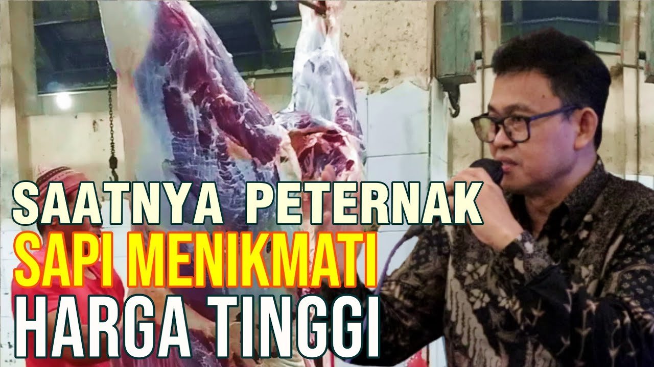 
                                 Saat-Sekaranglah-Peternak-Sapi-Menikmati-Harga-Tinggi